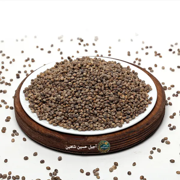 شاهدانه بو داده شاهدانه بو داده